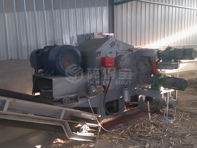 大連生物質(zhì)顆?，F(xiàn)場